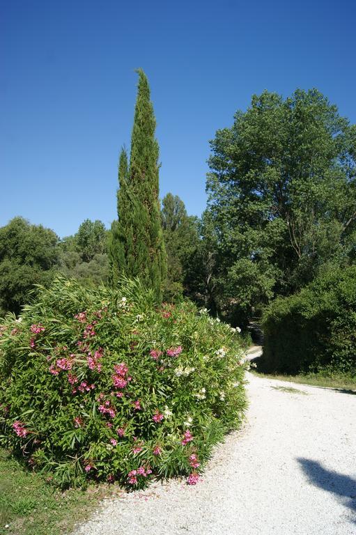 Casa Sorgente Bed & Breakfast San Costanzo Exterior photo